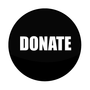DonatePayPal.Scurtek.net